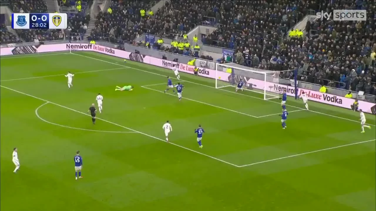 zaslepka skrotu video