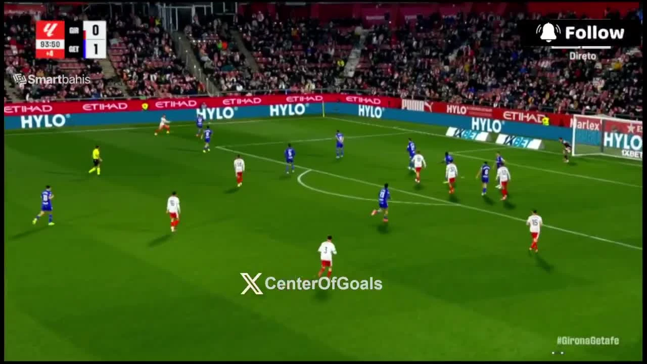 zaslepka skrotu video