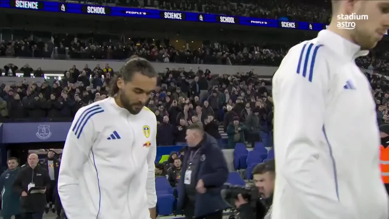 zaslepka skrotu video