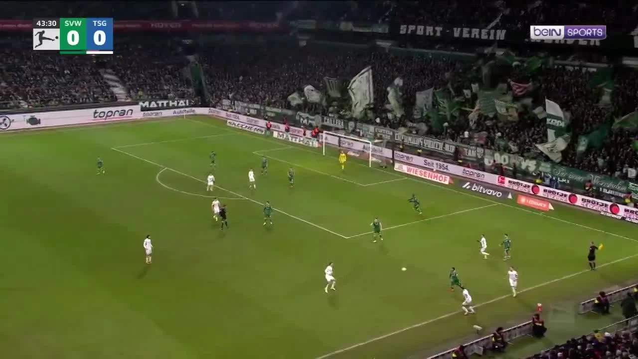 zaslepka skrotu video