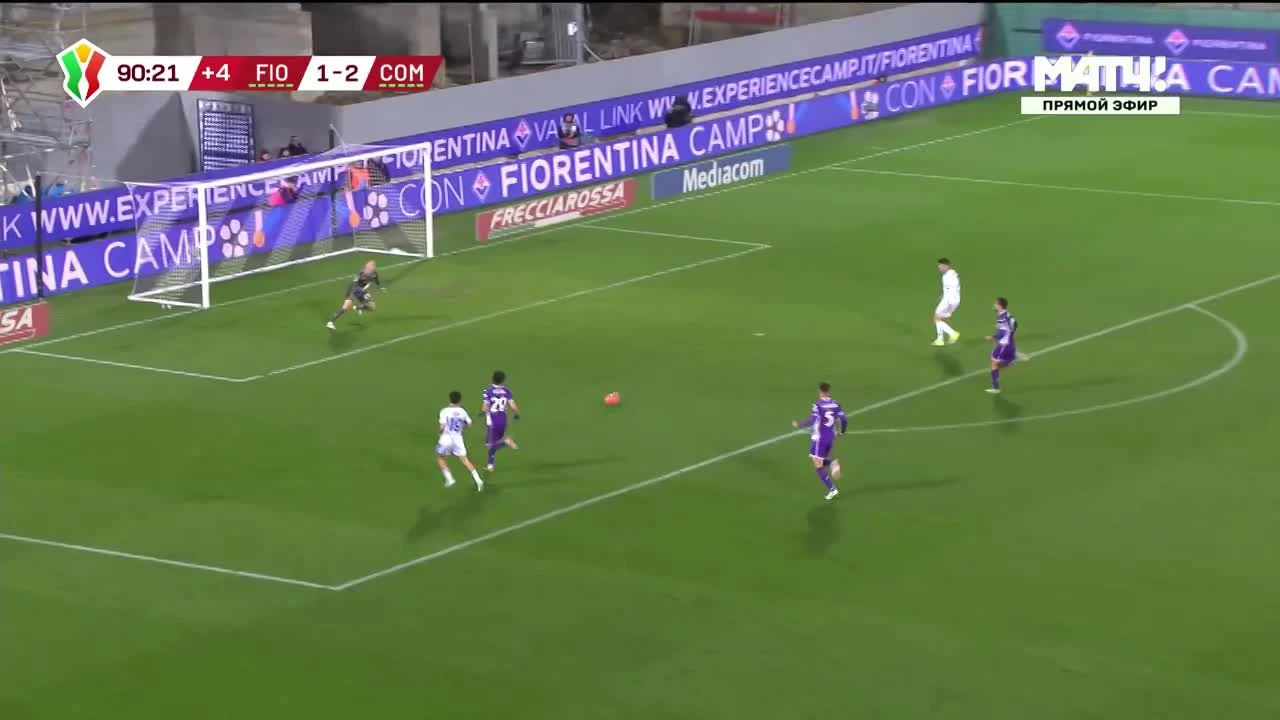 zaslepka skrotu video