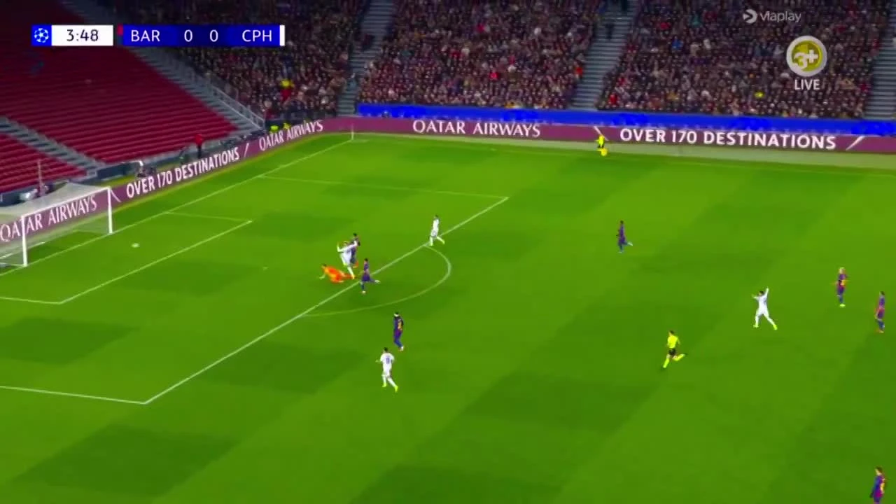 zaslepka skrotu video