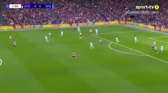 zaslepka skrotu video