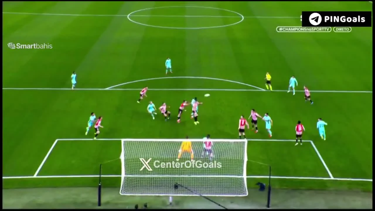 zaslepka skrotu video