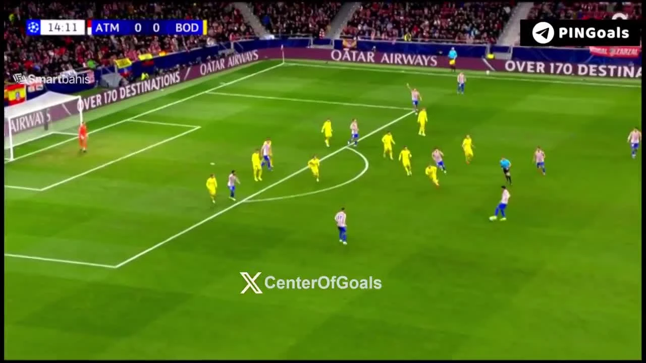 zaslepka skrotu video