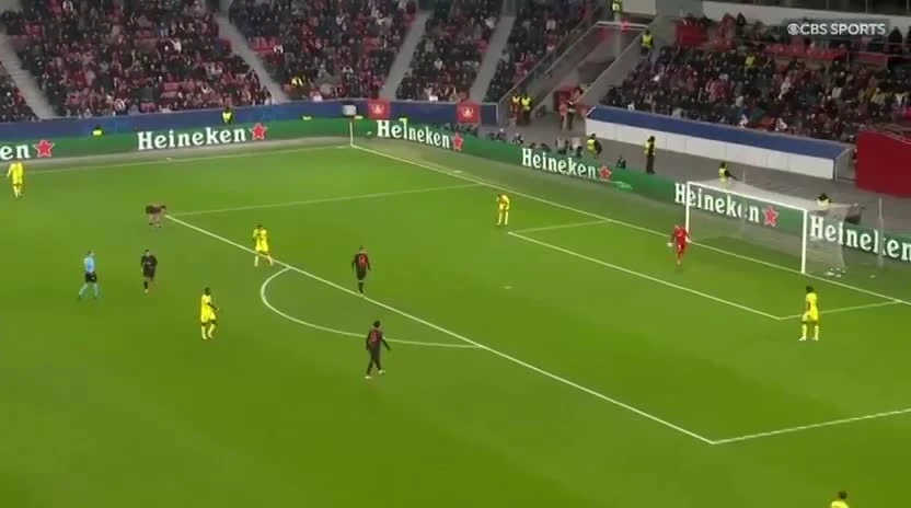 zaslepka skrotu video