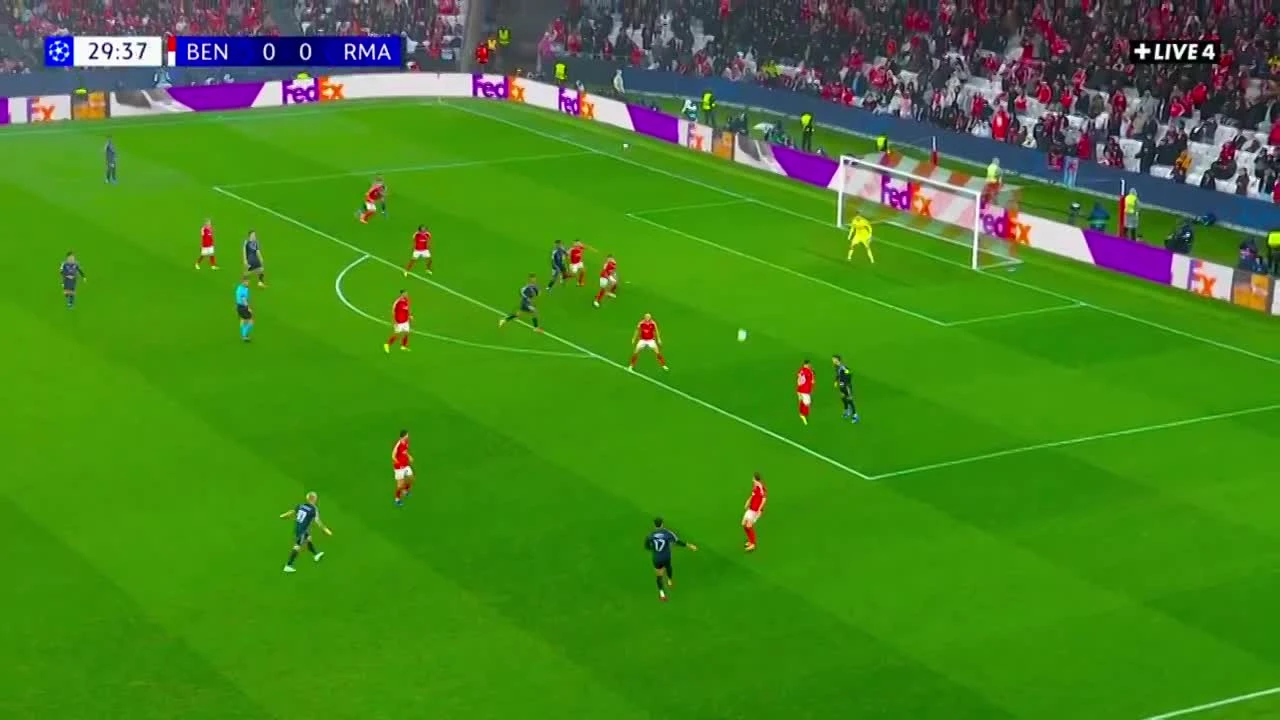 zaslepka skrotu video