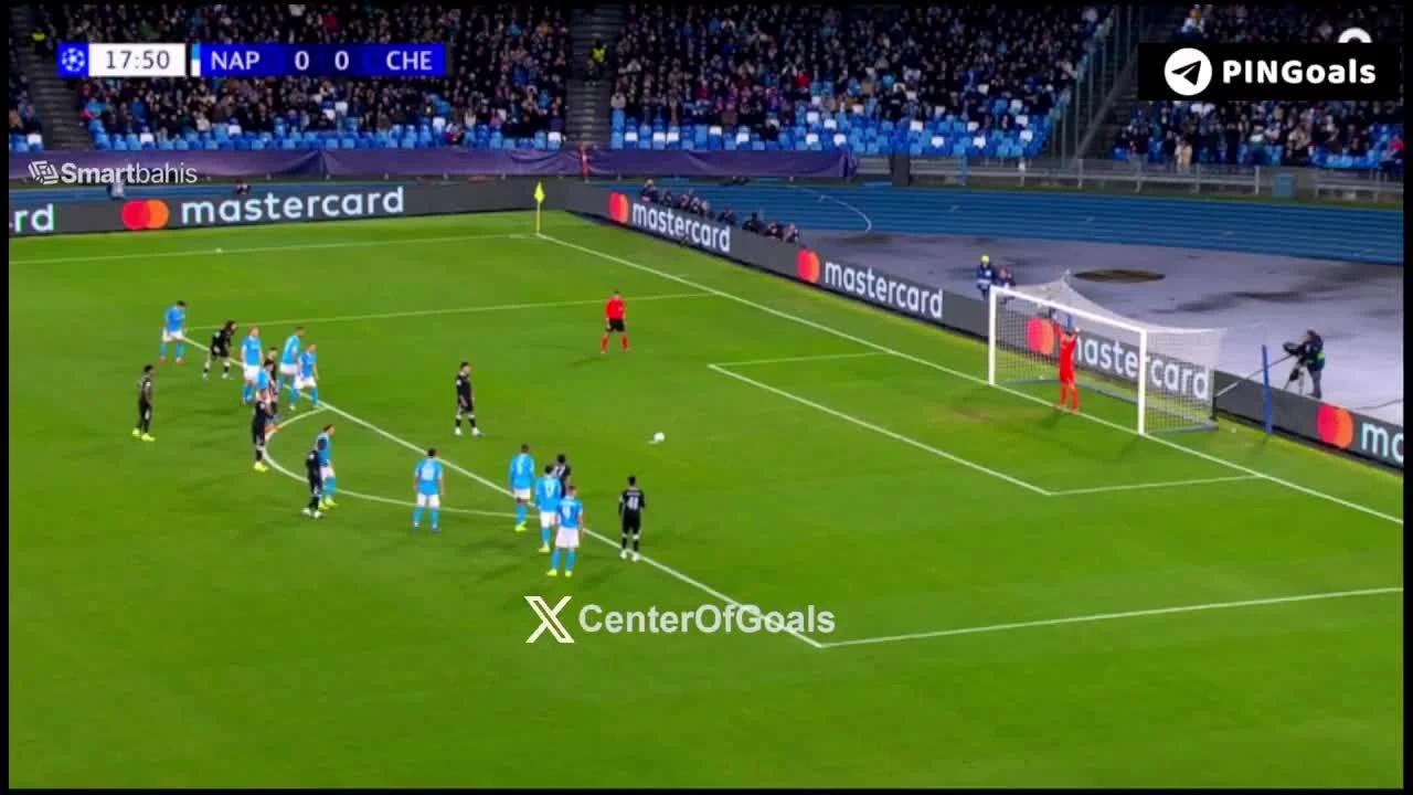 zaslepka skrotu video