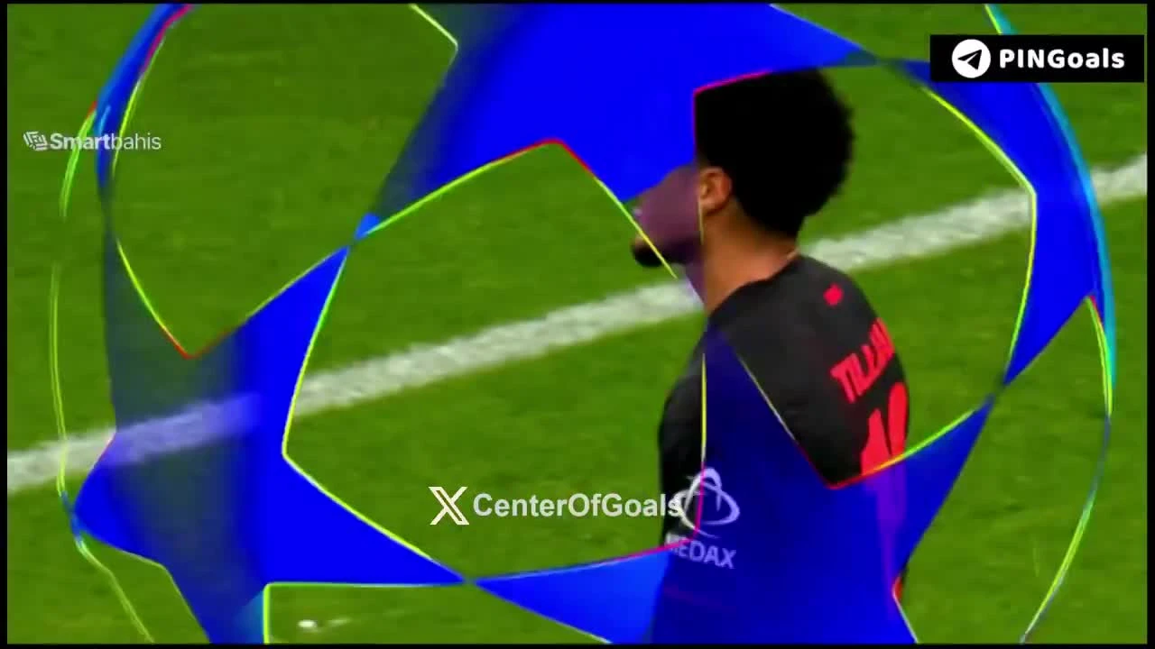 zaslepka skrotu video