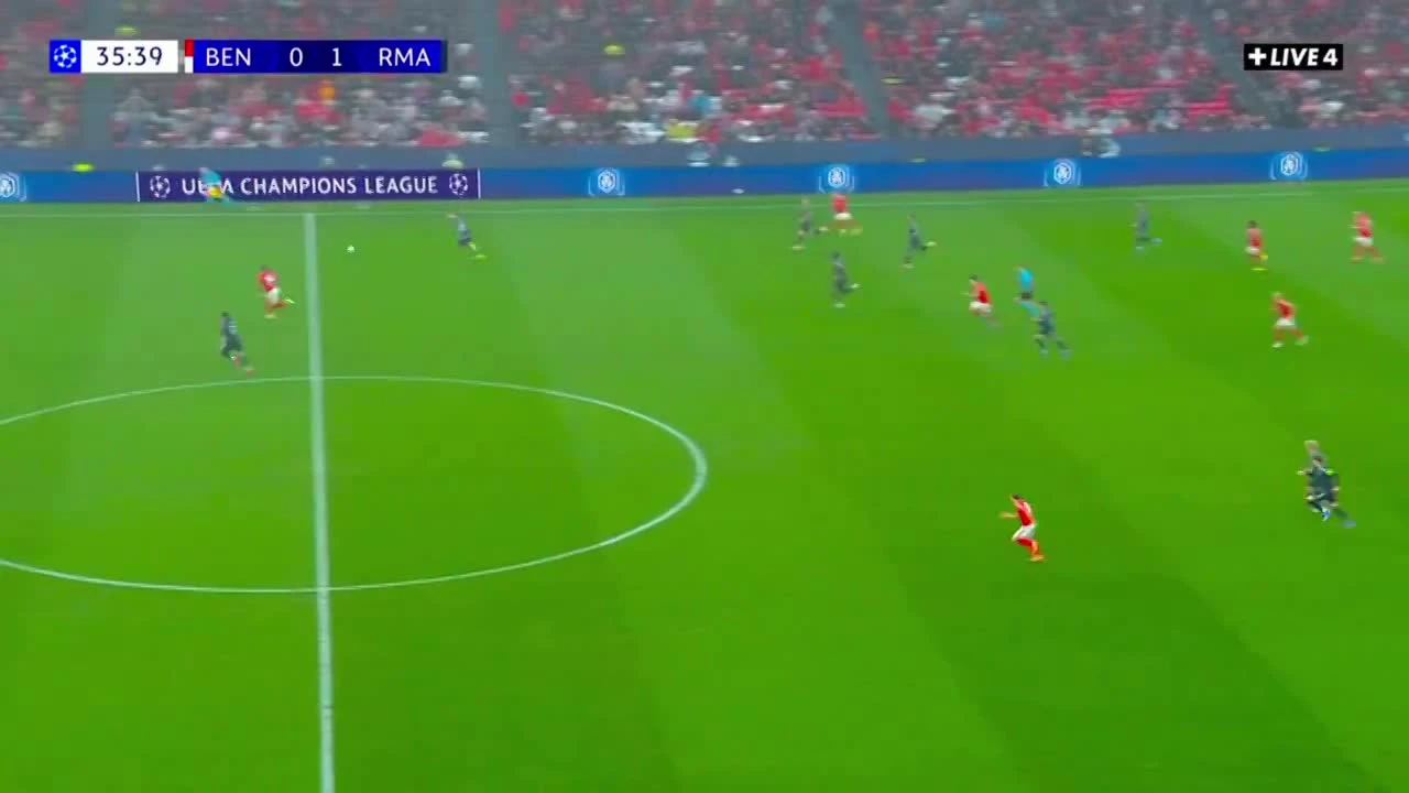 zaslepka skrotu video