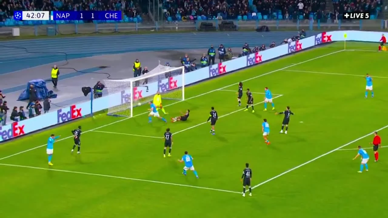 zaslepka skrotu video