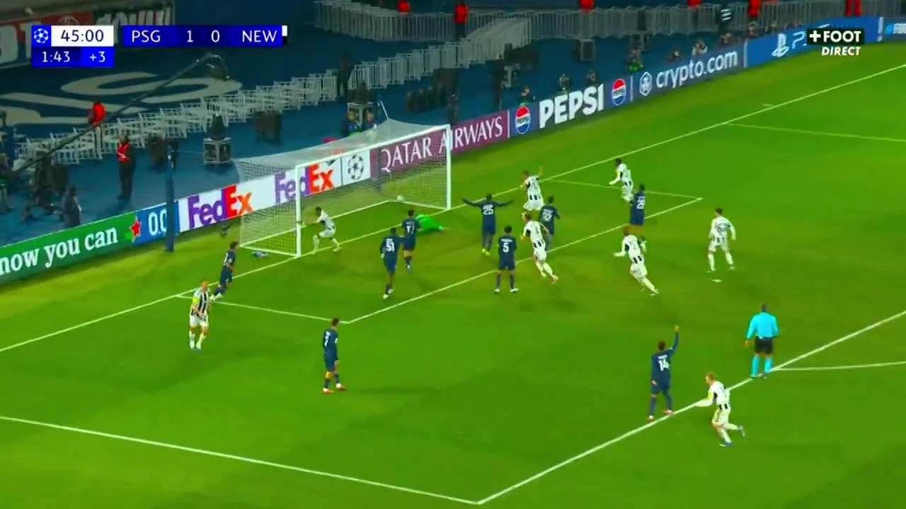 zaslepka skrotu video