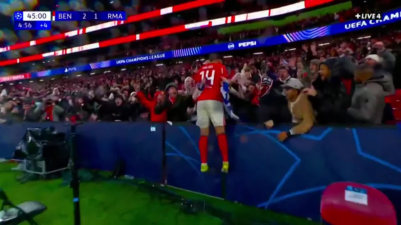 zaslepka skrotu video