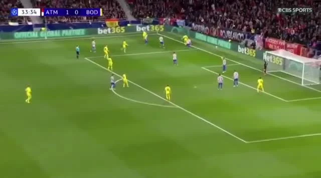 zaslepka skrotu video