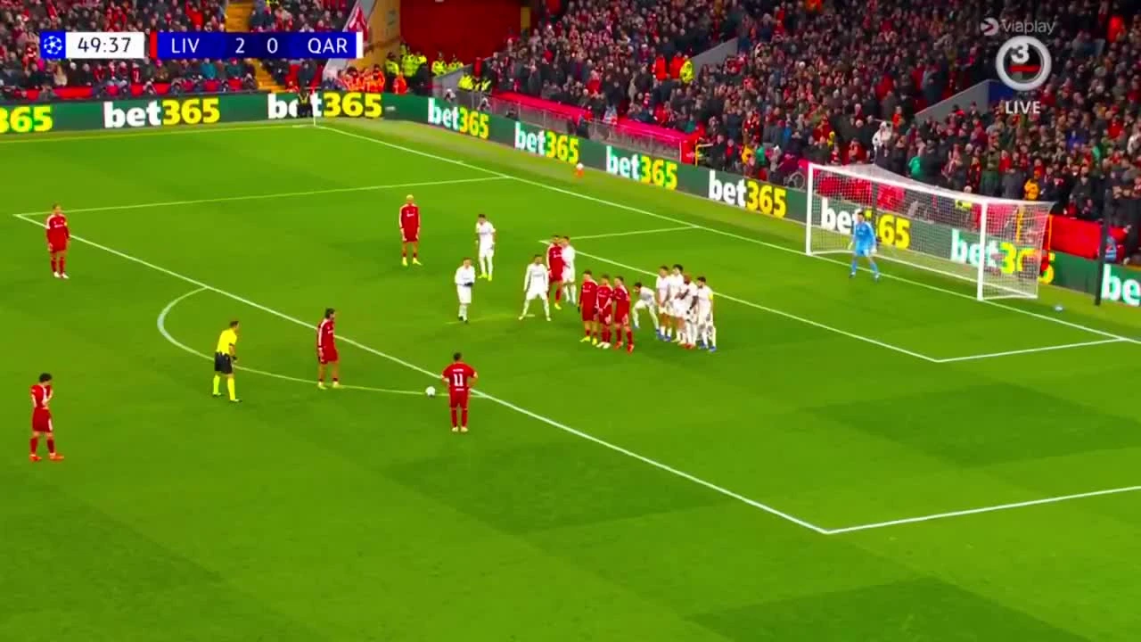 zaslepka skrotu video