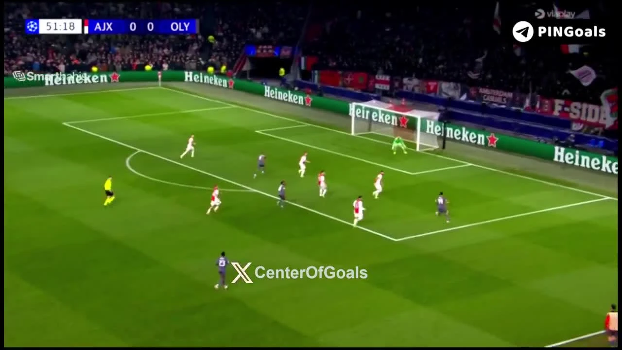 zaslepka skrotu video