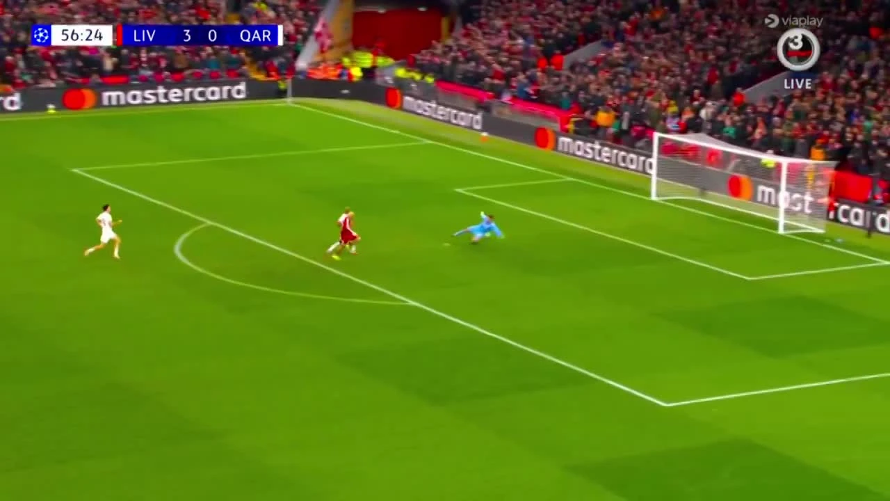 zaslepka skrotu video