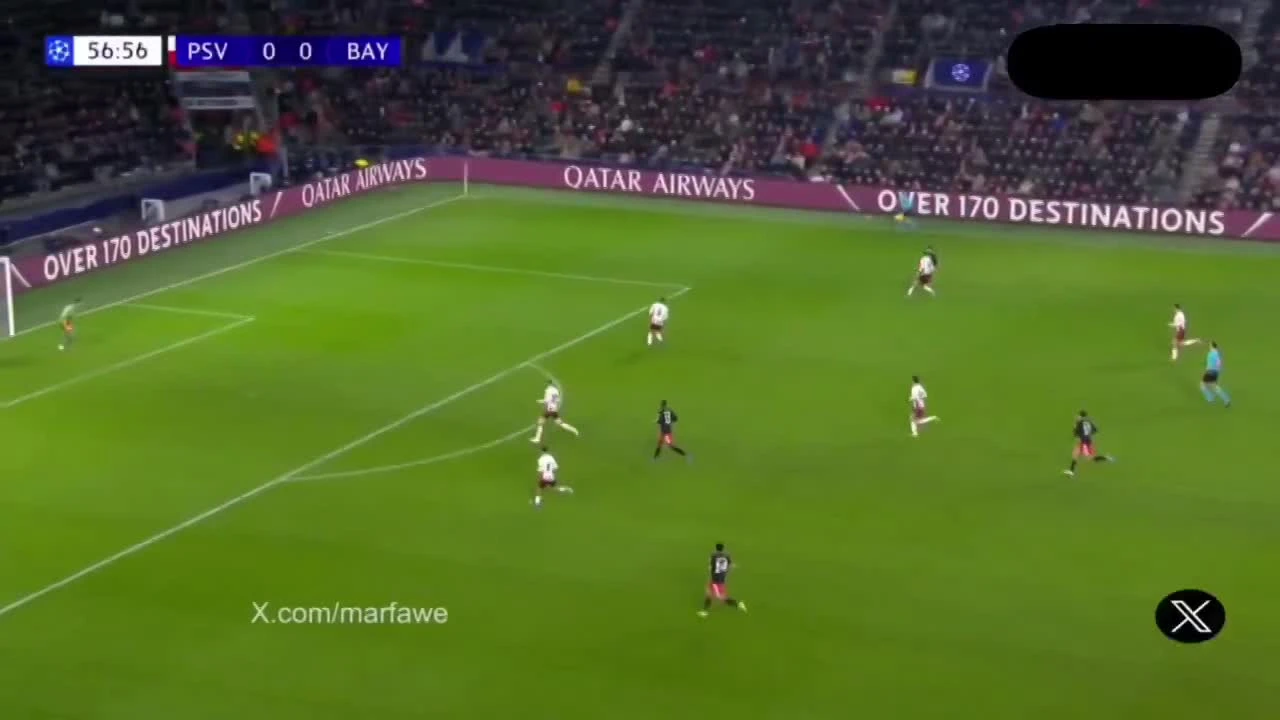 zaslepka skrotu video