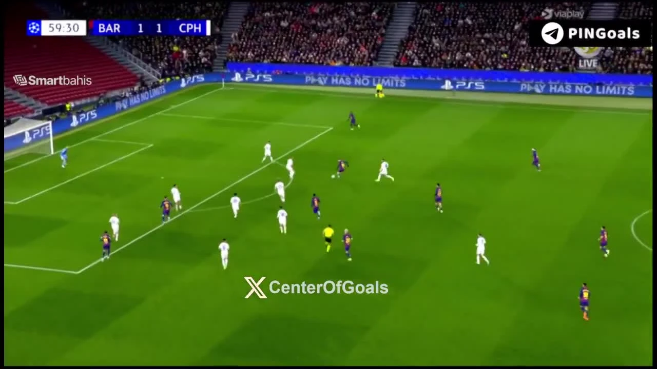 zaslepka skrotu video