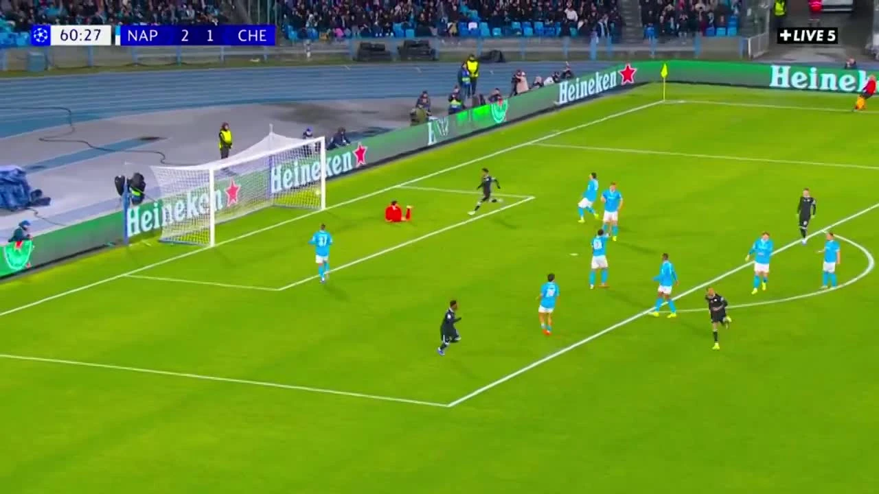 zaslepka skrotu video