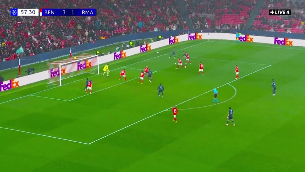 zaslepka skrotu video