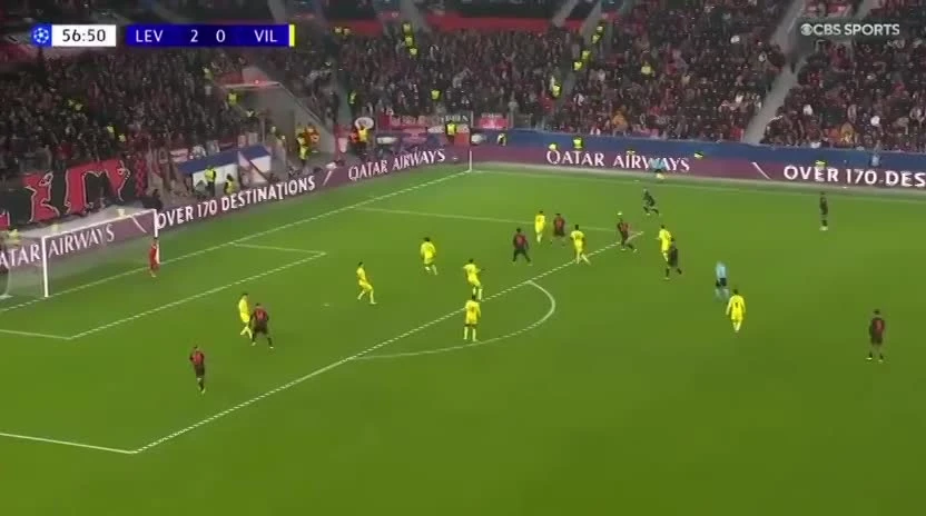 zaslepka skrotu video