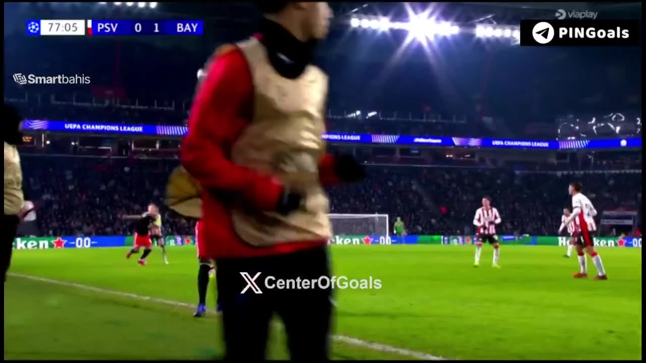 zaslepka skrotu video