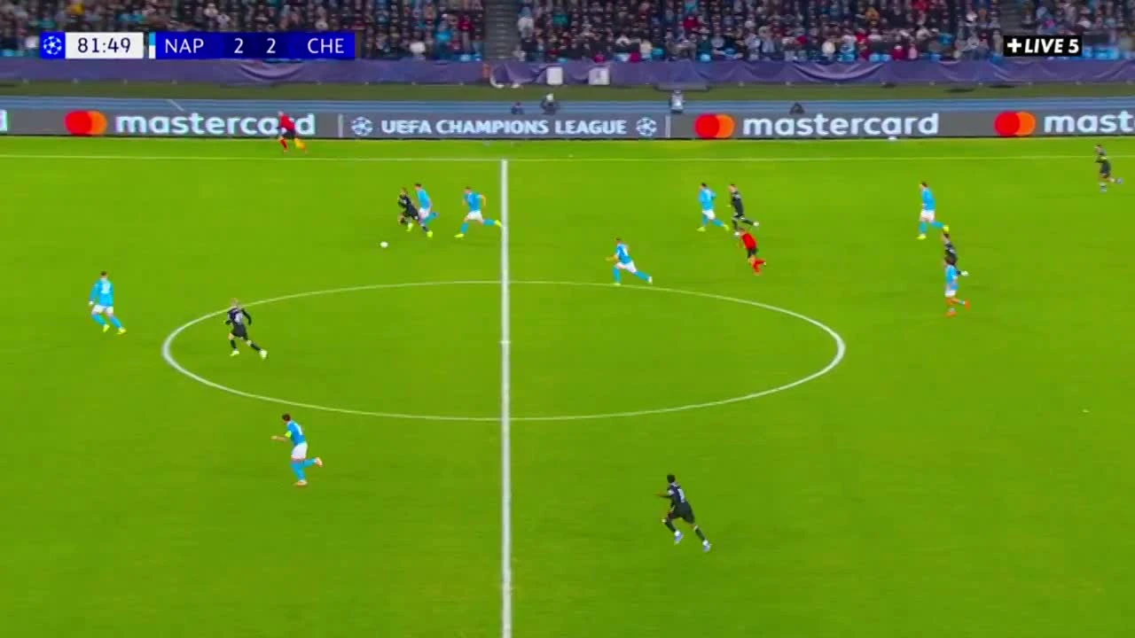 zaslepka skrotu video