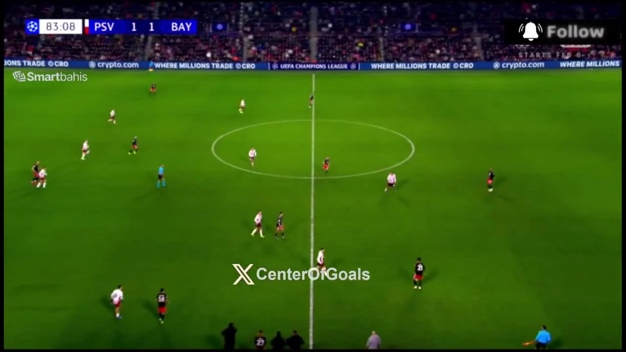 zaslepka skrotu video