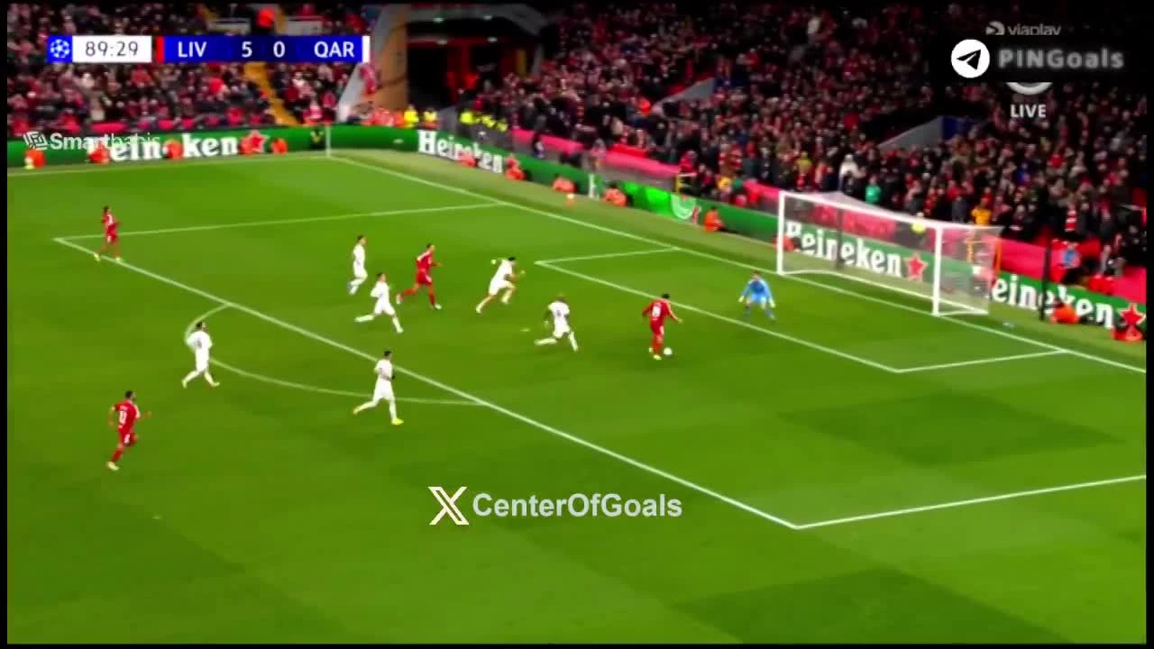 zaslepka skrotu video