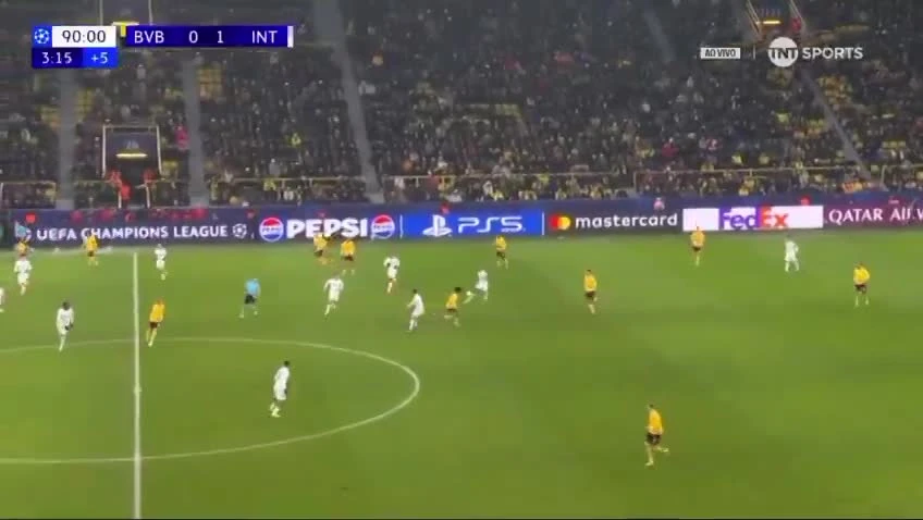 zaslepka skrotu video