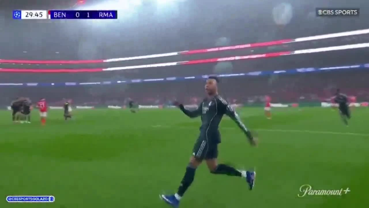 zaslepka skrotu video