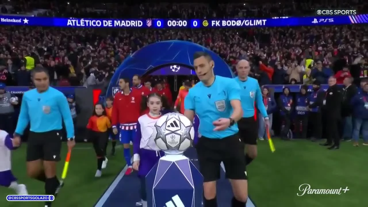 zaslepka skrotu video