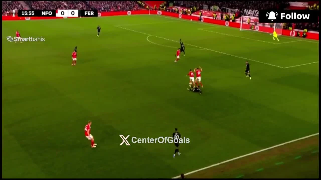 zaslepka skrotu video