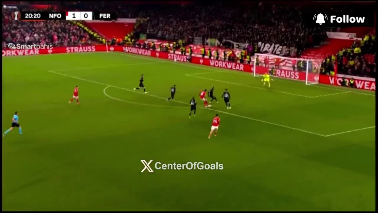 zaslepka skrotu video