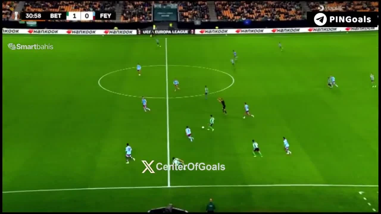 zaslepka skrotu video