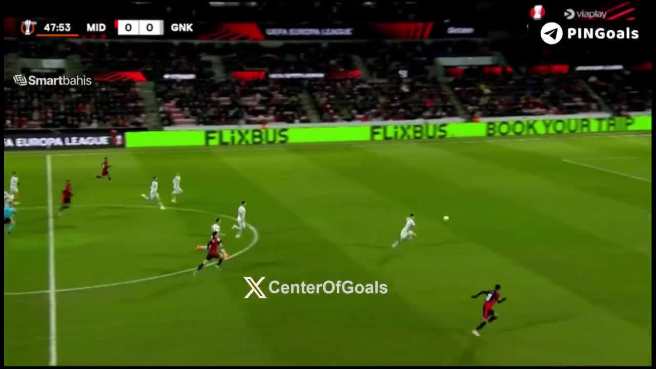 zaslepka skrotu video