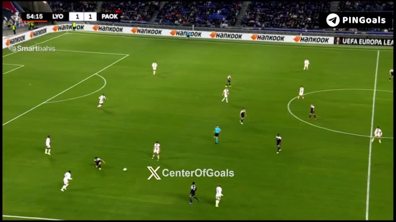 zaslepka skrotu video