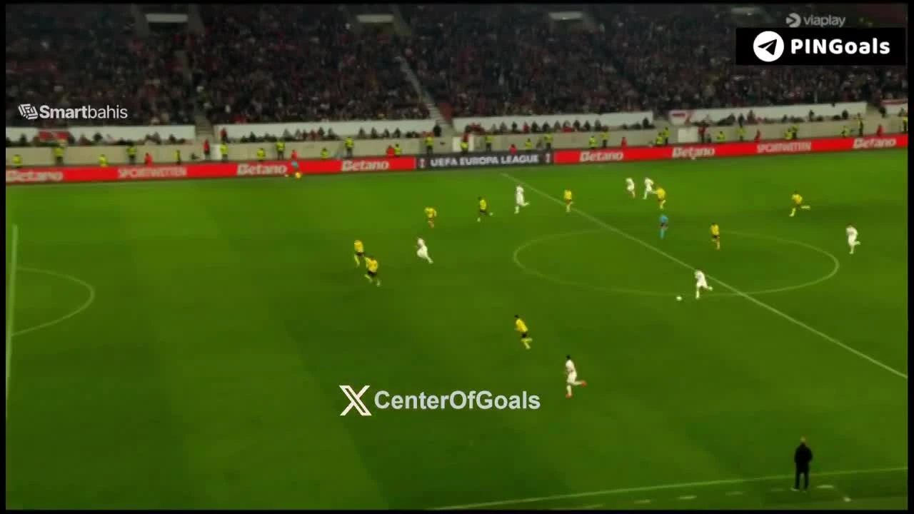 zaslepka skrotu video