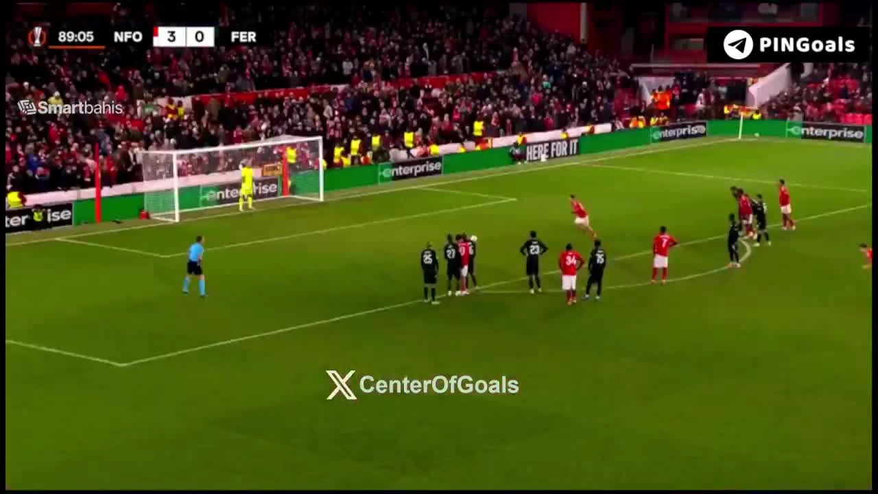 zaslepka skrotu video