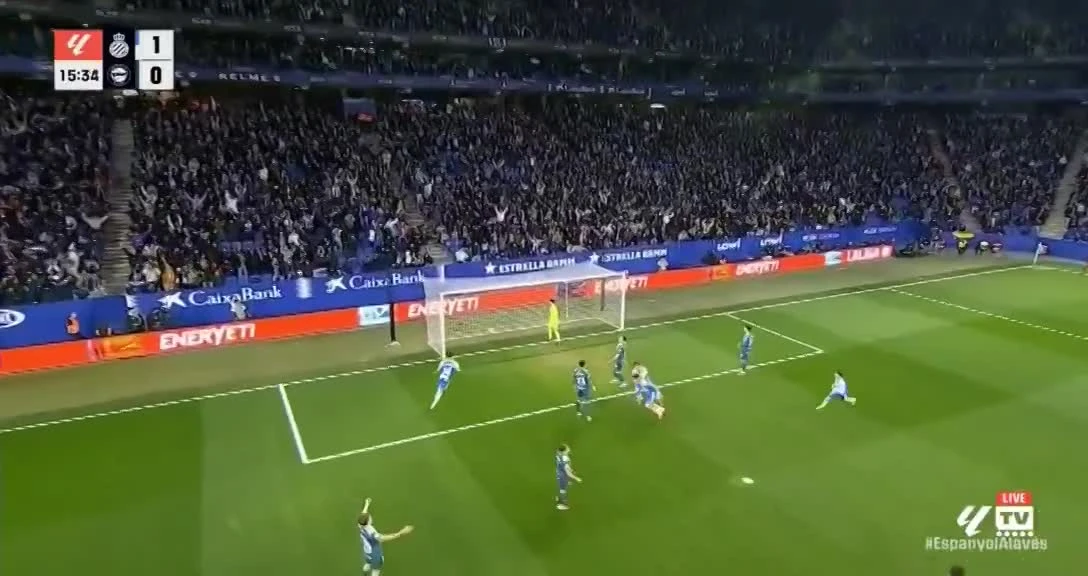 zaslepka skrotu video