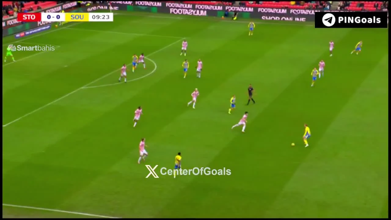 zaslepka skrotu video