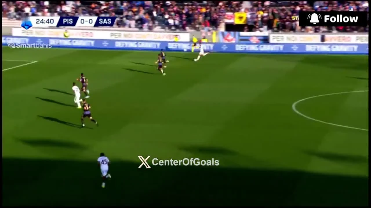 zaslepka skrotu video