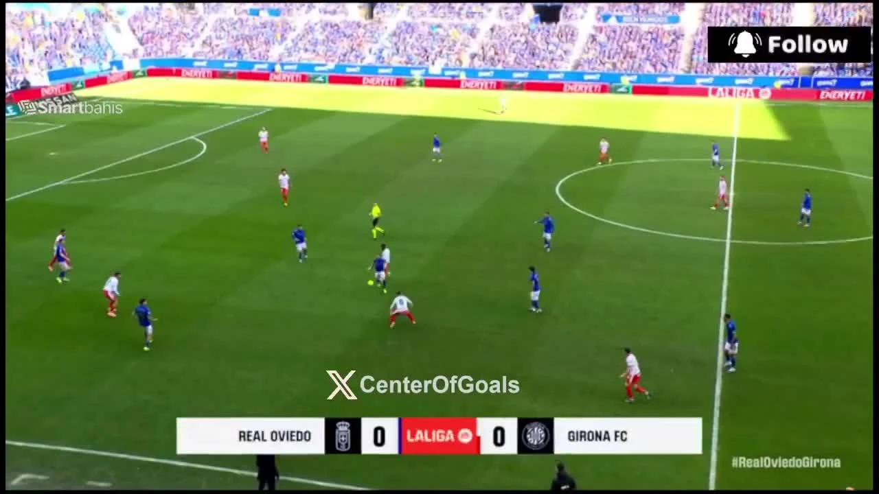 zaslepka skrotu video