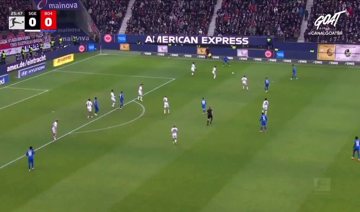 zaslepka skrotu video