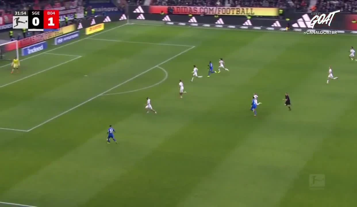 zaslepka skrotu video