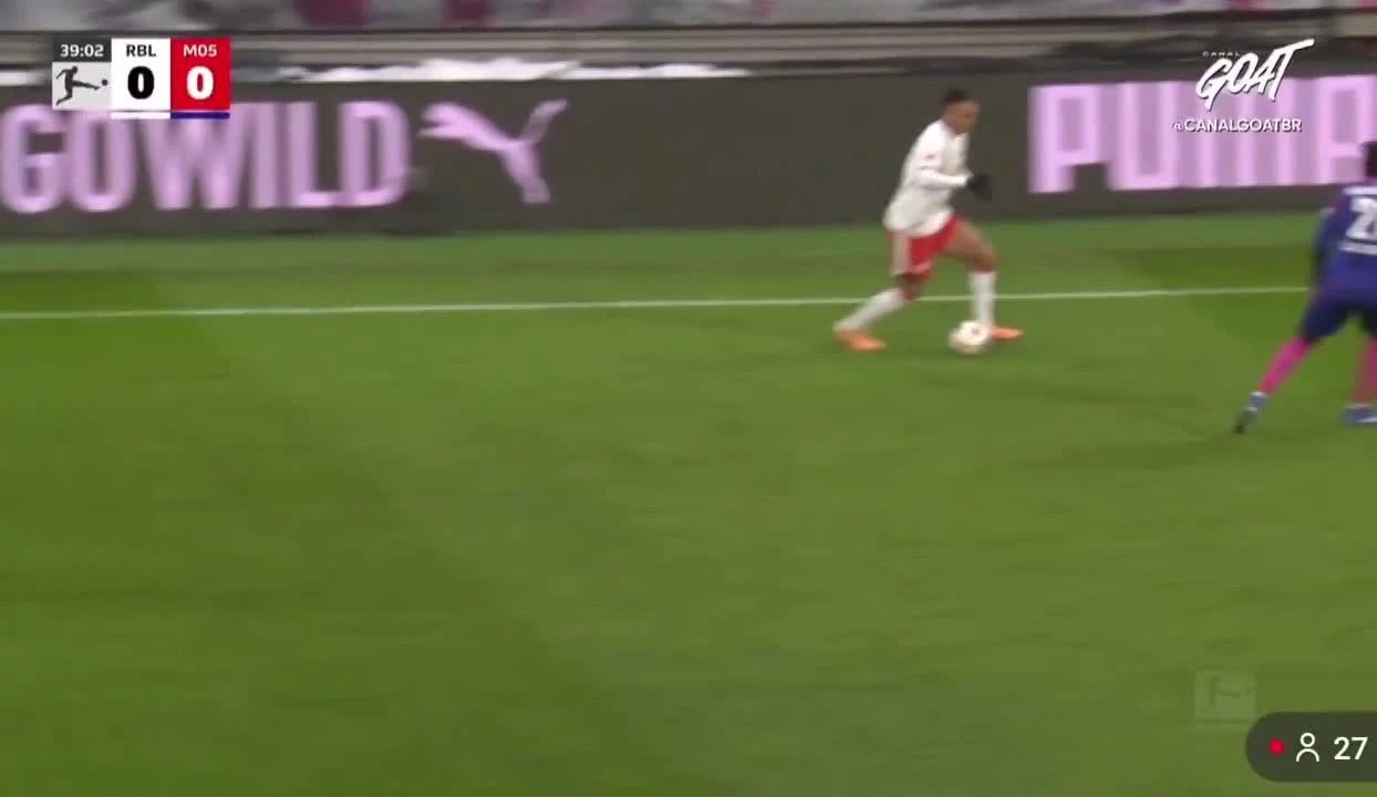 zaslepka skrotu video