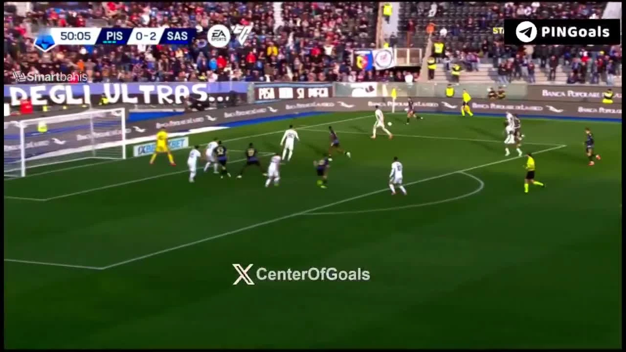 zaslepka skrotu video