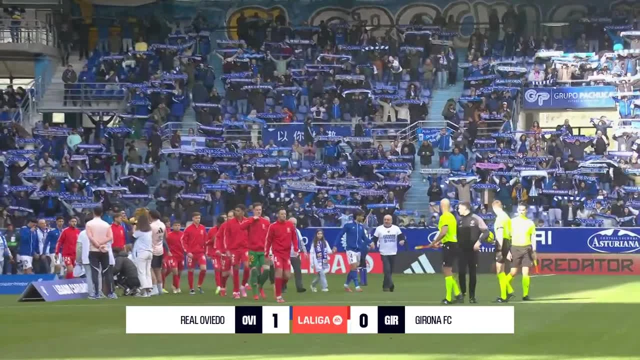 zaslepka skrotu video