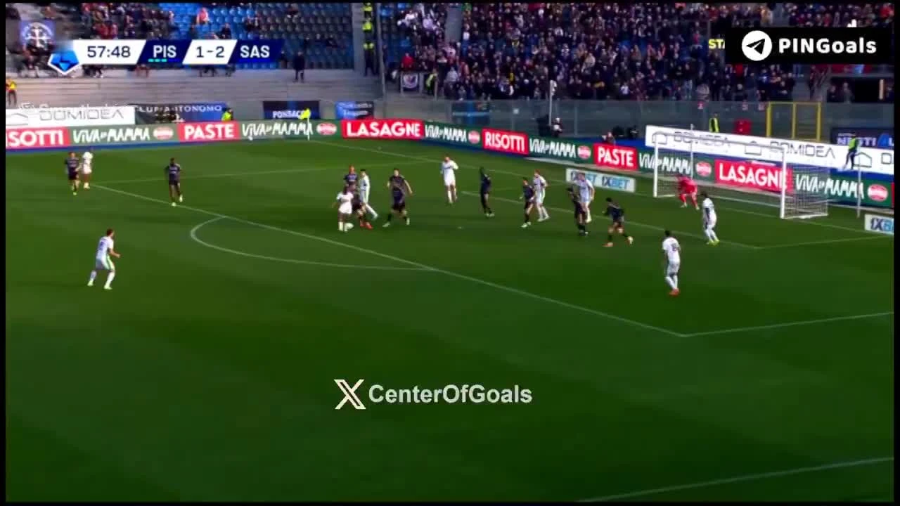 zaslepka skrotu video